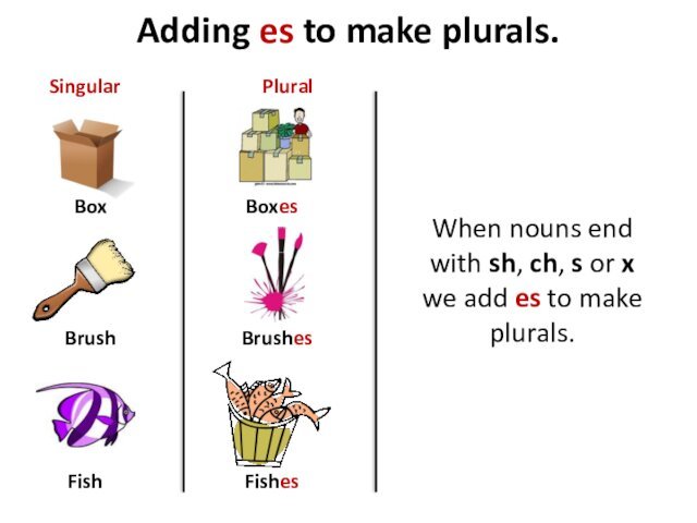 Adding es to make plurals.BoxBrushFishBoxesBrushesFishesSingularPluralWhen nouns end with sh, ch, s or