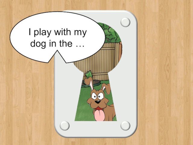 backyardI play with my dog in the …