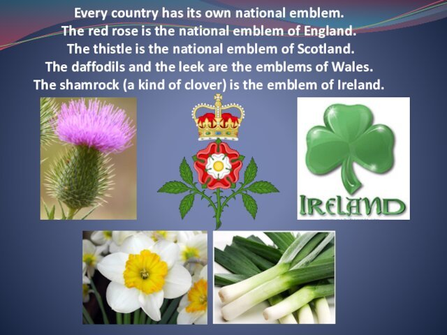 Every country has its own national emblem.  The red rose is the national emblem of