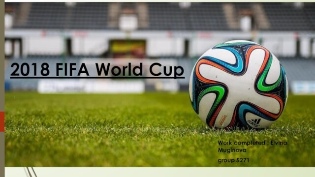 2018 FIFA World CupWork completed : Elvina Muginovagroup 5271