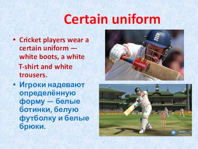Certain uniformCricket players wear a certain uniform —