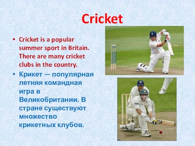 CricketCricket is a popular summer sport in Britain. There are many cricket clubs in