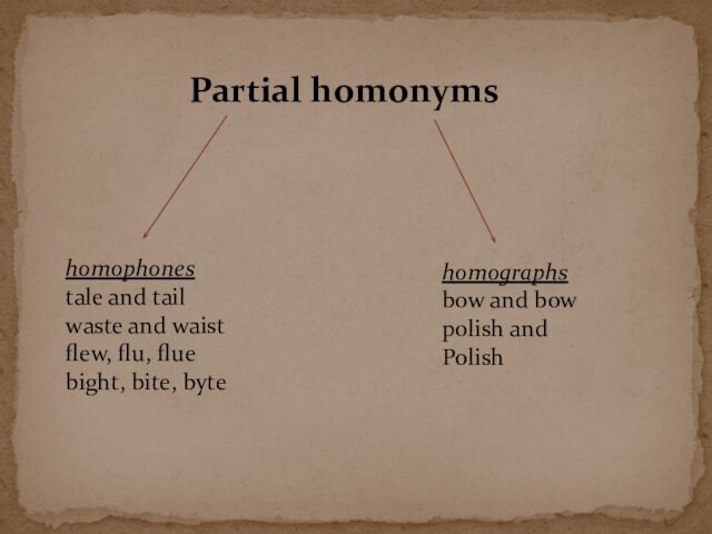 Partial homonymshomophonestale and tailwaste and waistflew, flu, fluebight, bite, bytehomographsbow and bowpolish and Polish
