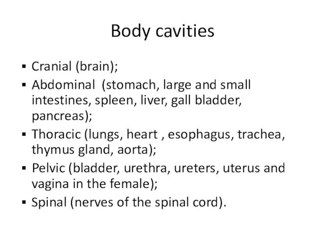 Body cavitiesCranial (brain);Abdominal (stomach, large and small intestines, spleen, liver, gall bladder, pancreas);Thoracic (lungs, heart
