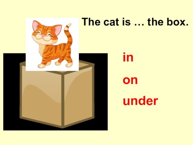The cat is … the box.inonunder