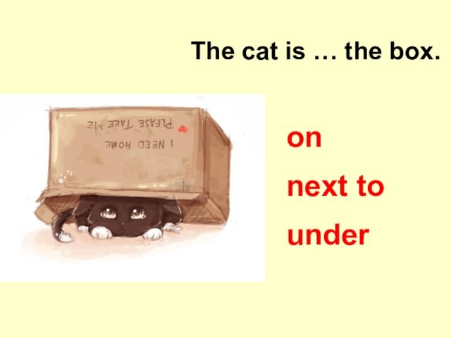 underThe cat is … the box.onnext to