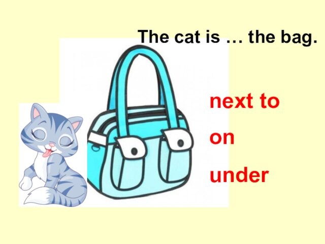 The cat is … the bag. on next to under