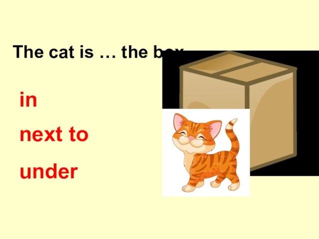 The cat is … the box. in next to under