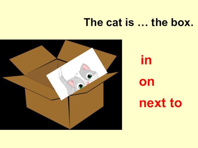 The cat is … the box.onnext toin