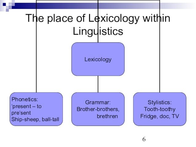 The place of Lexicology within Linguistics