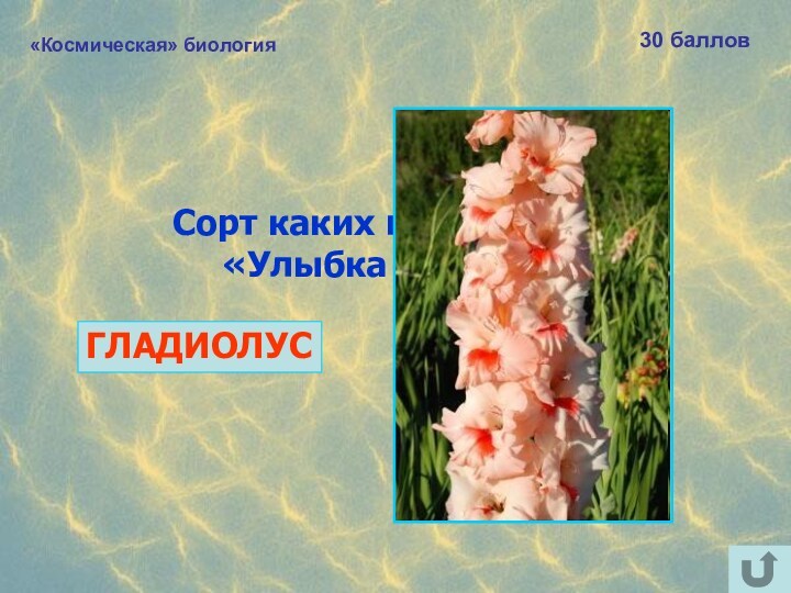 «Космическая» биология30 балловСорт каких цветов назван «Улыбка Гагарина»? ГЛАДИОЛУС