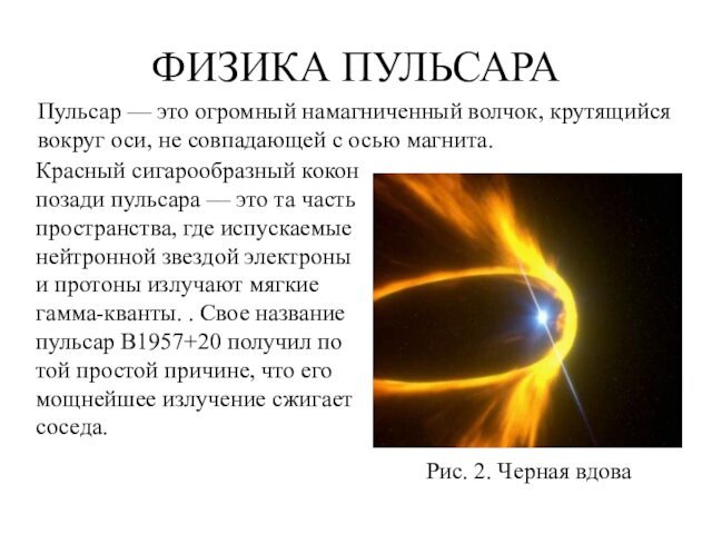 ФИЗИКА ПУЛЬСАРАКрасный сигарообразный кокон позади пульсара — это та часть пространства, где
