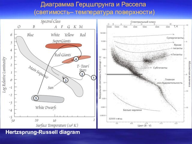 Hertzsprung-Russell diagramДиаграмма Герцшпрунга и Рассела  (светимость– температура поверхности)32000 звёзд