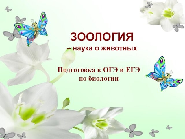 Подготовка к ОГЭ и ЕГЭ по биологииЗООЛОГИЯ    – наука о животных