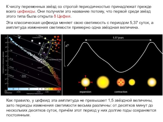 К числу переменных звёзд со строгой периодичностью принадлежат прежде всего цефеиды. Они получили это название