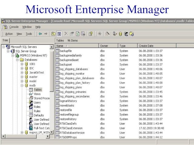 Microsoft Enterprise Manager
