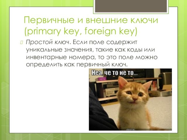 Первичные и внешние ключи (primary key, foreign key) Простой ключ. Если поле содержит уникальные значения,
