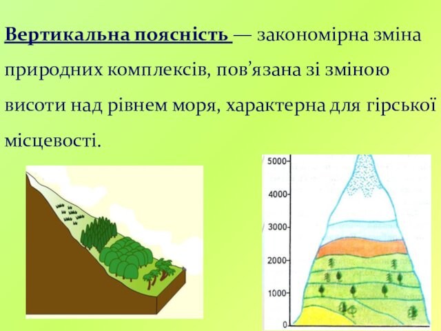 Вертикальна поясність — закономірна зміна природних комплексів, пов’язана зі зміною висоти над рівнем моря, характерна