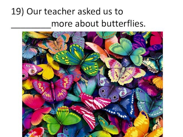 19) Our teacher asked us to ________more about butterflies.