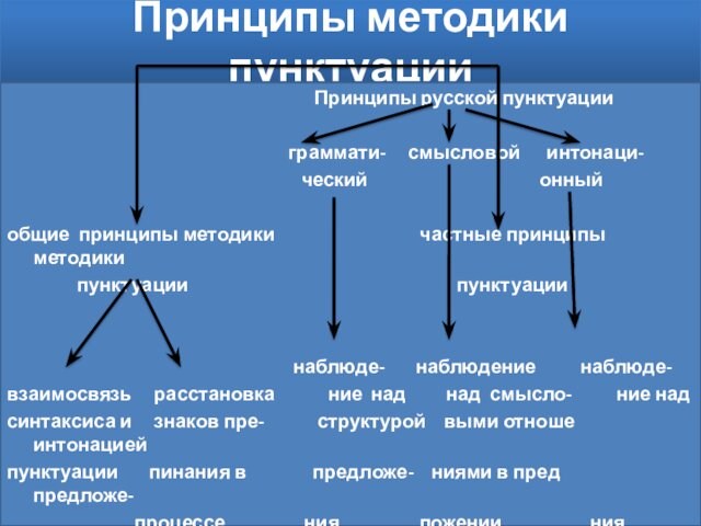 Принципы методики пунктуации