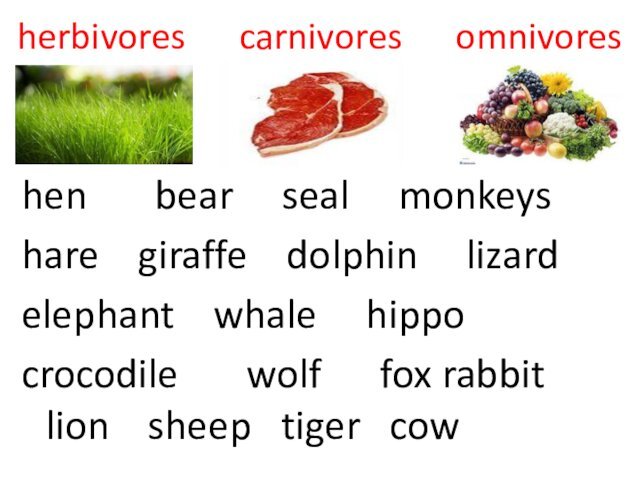 herbivores   carnivores   omnivoreshen    bear