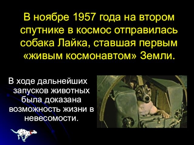 В ноябре 1957 года на втором спутнике в космос отправилась собака Лайка, ставшая первым «живым космонавтом»