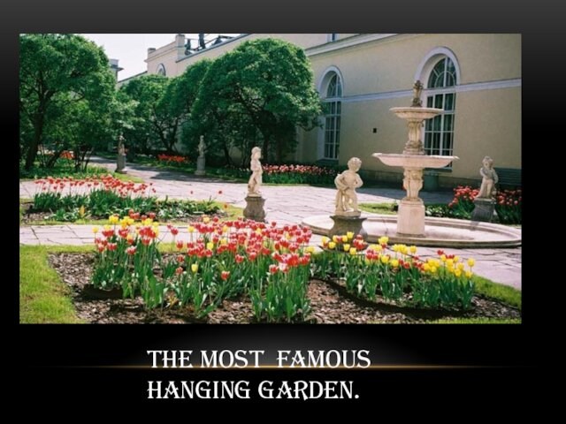 The most famous Hanging garden.