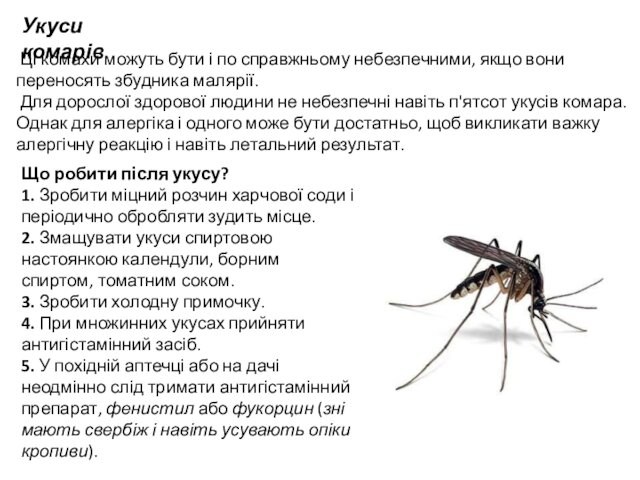 переносять збудника малярії. Для дорослої здорової людини не небезпечні навіть п'ятсот укусів комара. Однак