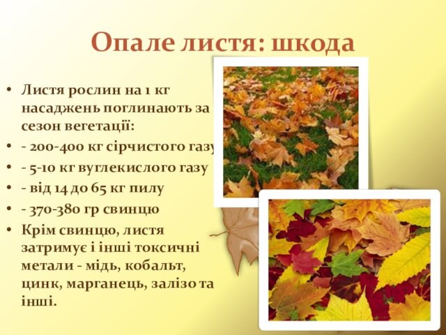 Опале листя: шкодаЛистя рослин на 1 кг насаджень поглинають за сезон вегетації: - 200-400 кг сірчистого