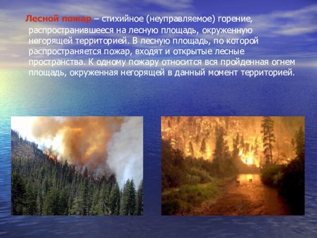 окруженную негорящей территорией. В лесную площадь, по которой распространяется пожар, входят и открытые лесные пространства.