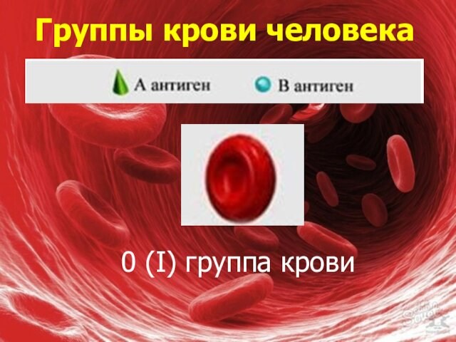 Группы крови человека0 (I) группа крови