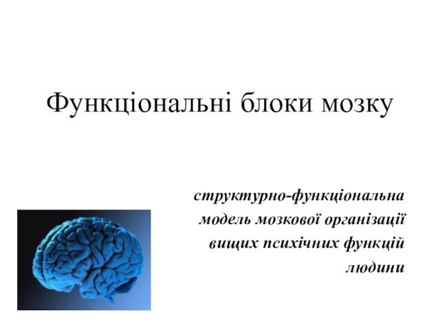 Функціональні блоки мозкуструктурно-функціональна модель мозкової організаціївищих психічних функцій людини