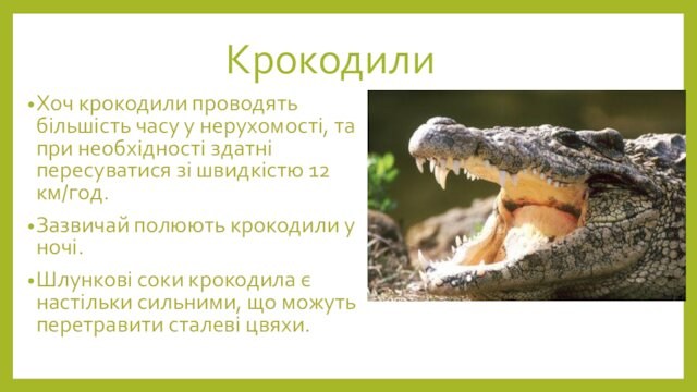 КрокодилиХоч крокодили проводять більшість часу у нерухомості, та при необхідності здатні пересуватися зі швидкістю 12 км/год.Зазвичай