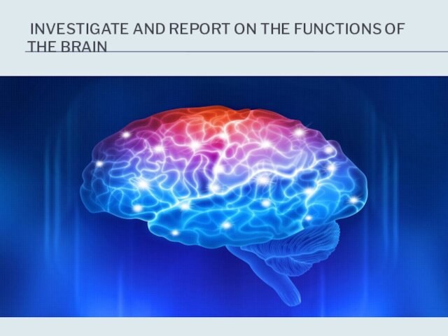INVESTIGATE AND REPORT ON THE FUNCTIONS OF THE BRAIN