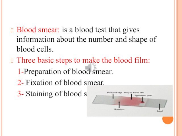 Blood smear: is a blood test that gives information about the number and shape of blood