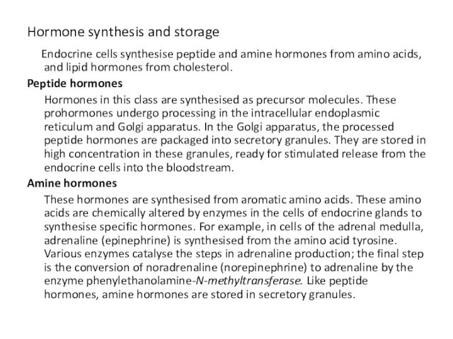 amine hormones from amino acids, and lipid hormones from cholesterol.Peptide hormones  Hormones in