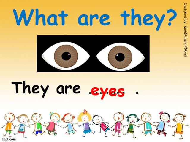 What are they?They are ………. .Designed by: Moh@dese F@zelieyes