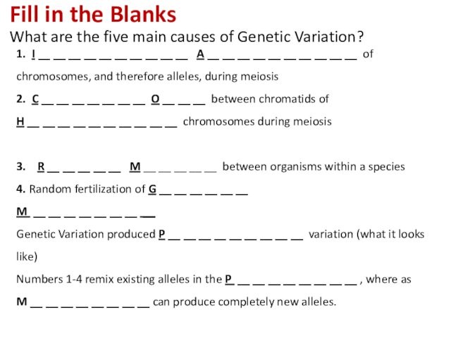 Fill in the Blanks  What are the five main causes of Genetic Variation? 1. I