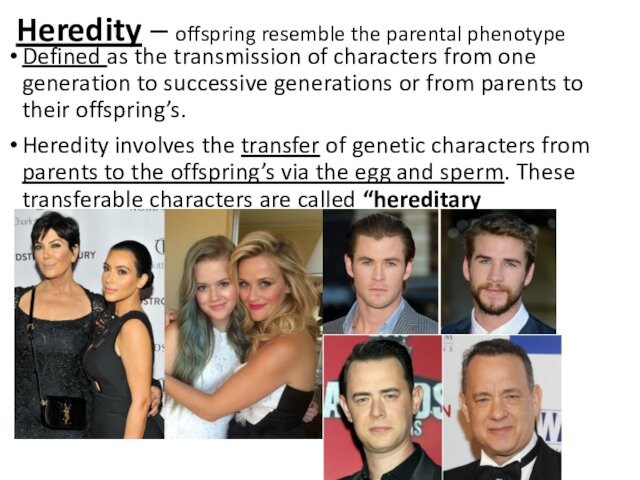 Heredity – offspring resemble the parental phenotype Defined as the transmission of characters from one generation