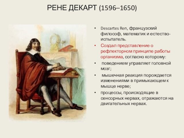 РЕНЕ ДЕКАРТ (1596–1650)  Descartes Ren, французский философ, математик и естество-испытатель.Создал представление о рефлекторном принципе работы