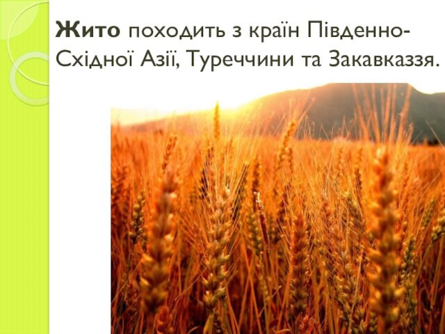 Жито походить з країн Південно-Східної Азії, Туреччини та Закавказзя.