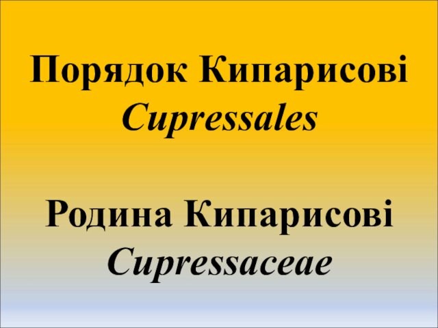 Порядок Кипарисові Cupressales  Родина Кипарисові Cupressaceae