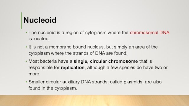 NucleoidThe nucleoid is a region of cytoplasm where the chromosomal DNA is located. It is not
