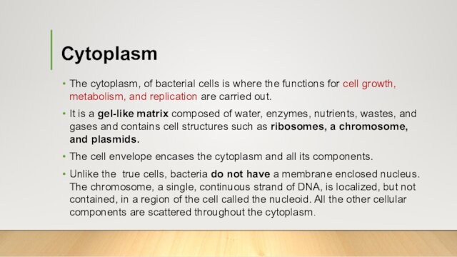 Cytoplasm The cytoplasm, of bacterial cells is where the functions for cell growth, metabolism, and replication