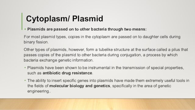 means: For most plasmid types, copies in the cytoplasm are passed on to daughter cells