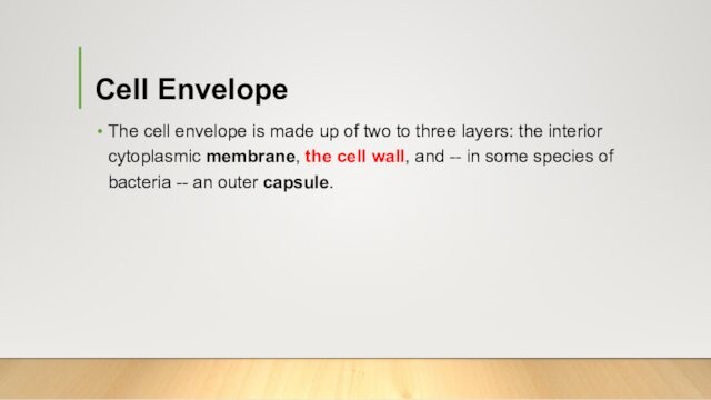 Cell Envelope The cell envelope is made up of two to three layers: the interior cytoplasmic