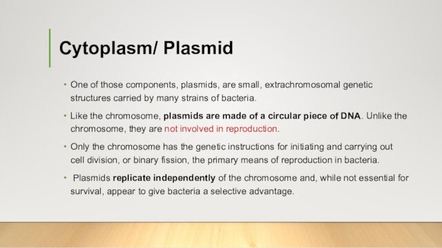 Cytoplasm/ Plasmid One of those components, plasmids, are small, extrachromosomal genetic structures carried by many strains