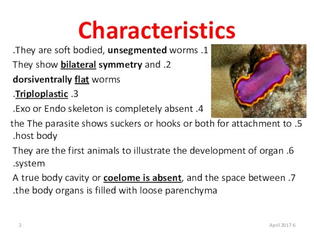 symmetry and dorsiventrally flat worms3. Triploplastic.4. Exo or Endo skeleton is completely absent.5. The parasite