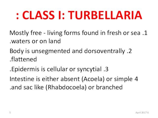 CLASS I: TURBELLARIA :1. Mostly free - living forms found in fresh or sea waters or