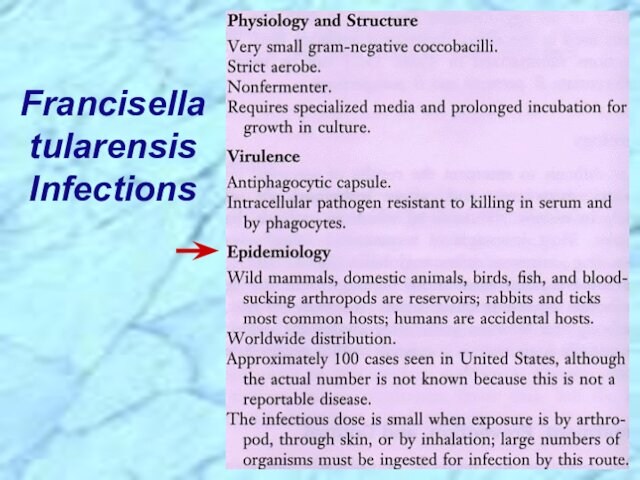 Francisella tularensis Infections